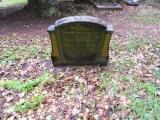 image of grave number 498974